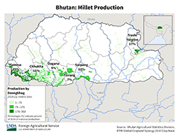 images\BT\cropprod\Bhutan_Millet_preview.png